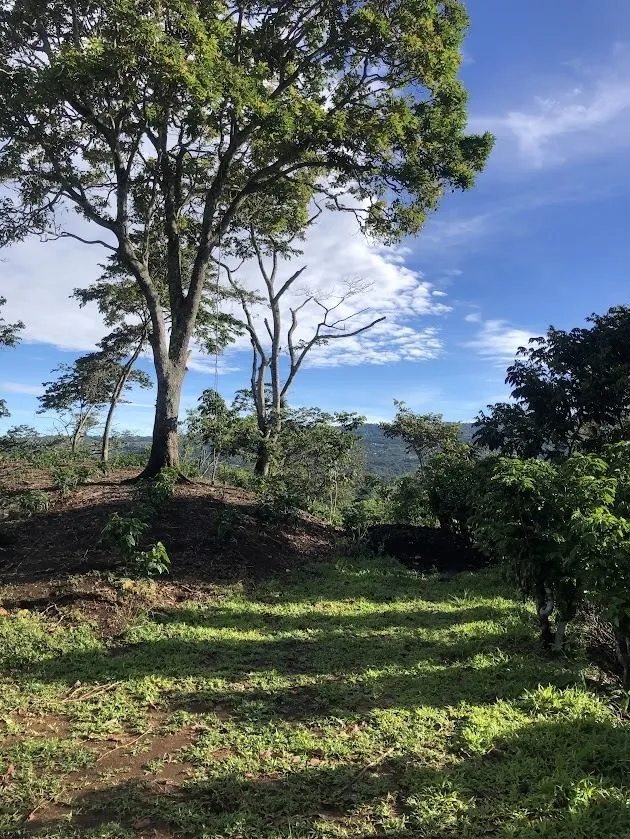 Cielo azul sobre la finca